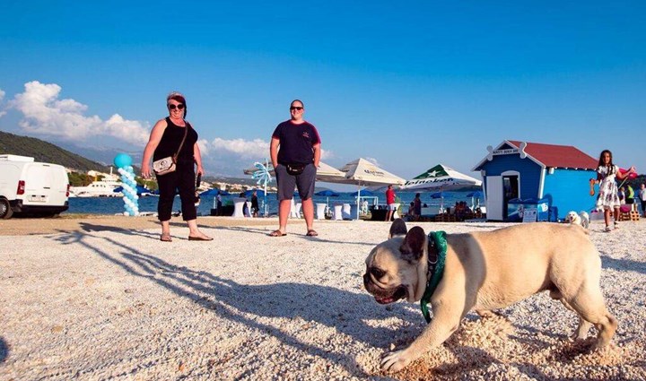 Monty’s Dog Beach & Bar -  plaža za pse 16